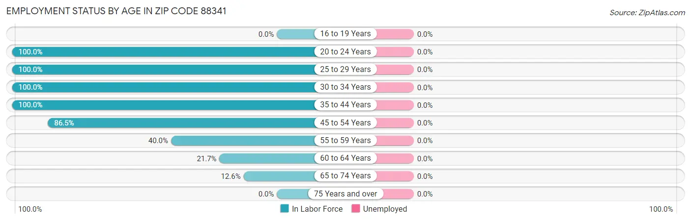 Employment Status by Age in Zip Code 88341