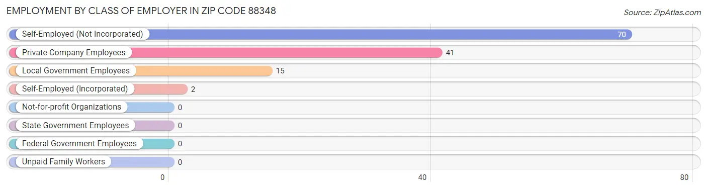 Employment by Class of Employer in Zip Code 88348