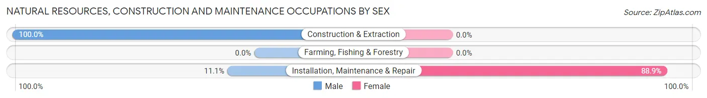 Natural Resources, Construction and Maintenance Occupations by Sex in Zip Code 88435