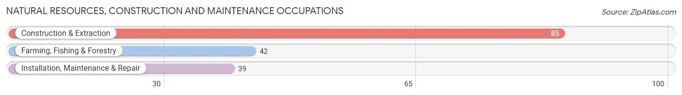 Natural Resources, Construction and Maintenance Occupations in Zip Code 89001