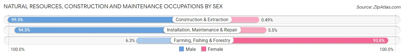 Natural Resources, Construction and Maintenance Occupations by Sex in Zip Code 89015