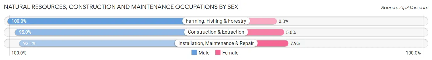 Natural Resources, Construction and Maintenance Occupations by Sex in Zip Code 89101