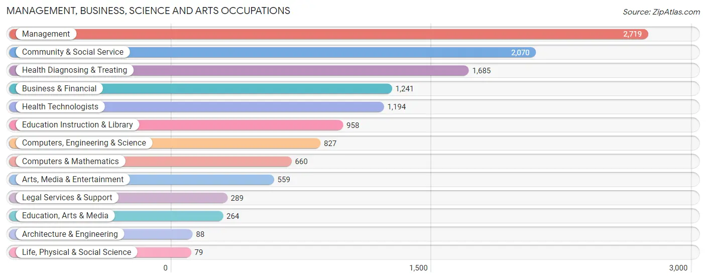 Management, Business, Science and Arts Occupations in Zip Code 89141