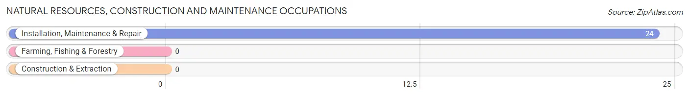 Natural Resources, Construction and Maintenance Occupations in Zip Code 89405