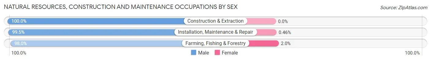 Natural Resources, Construction and Maintenance Occupations by Sex in Zip Code 89406