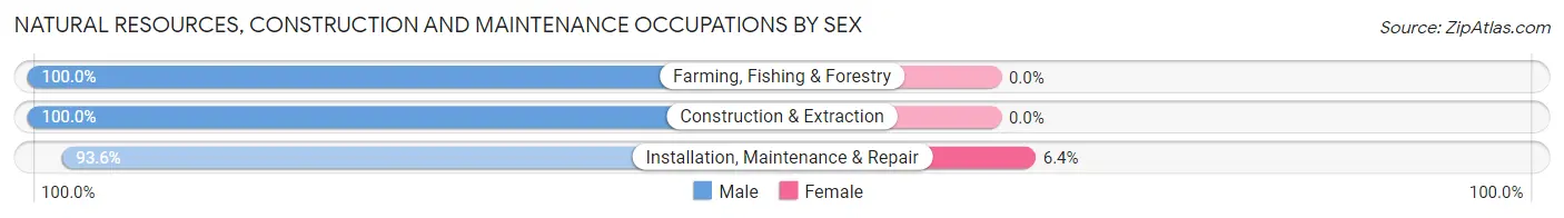 Natural Resources, Construction and Maintenance Occupations by Sex in Zip Code 89410