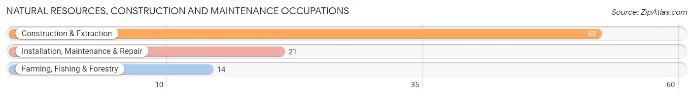 Natural Resources, Construction and Maintenance Occupations in Zip Code 89448