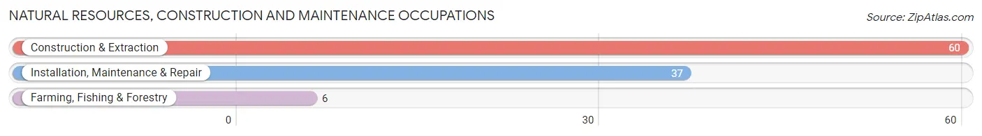 Natural Resources, Construction and Maintenance Occupations in Zip Code 89510