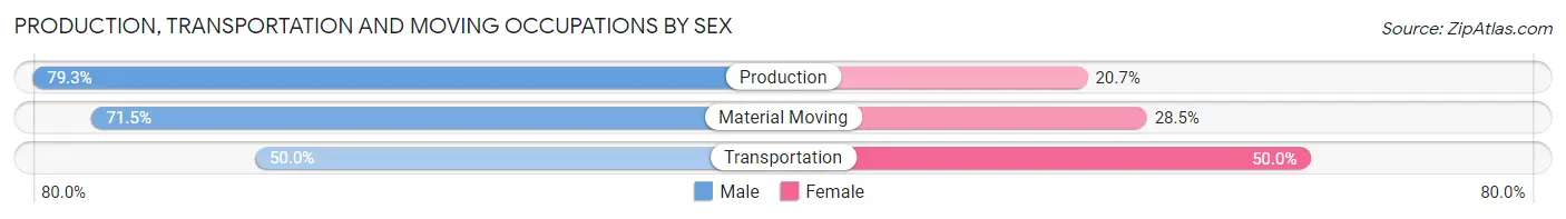 Production, Transportation and Moving Occupations by Sex in Zip Code 89703