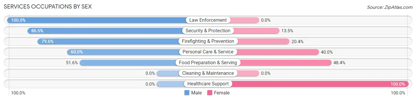 Services Occupations by Sex in Zip Code 89704