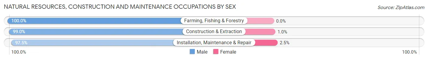 Natural Resources, Construction and Maintenance Occupations by Sex in Zip Code 89801