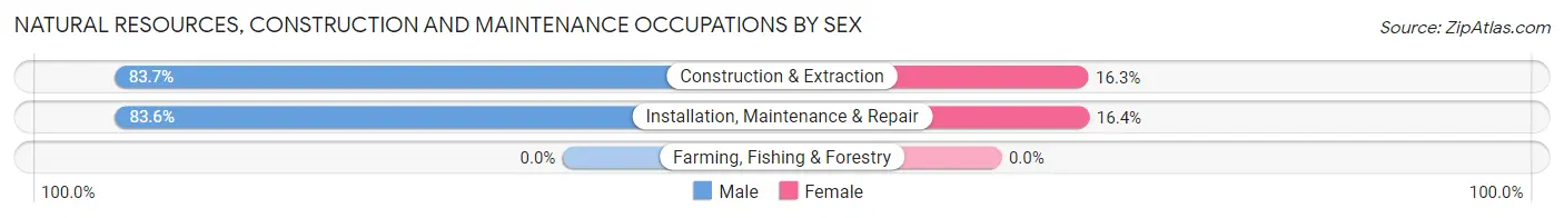 Natural Resources, Construction and Maintenance Occupations by Sex in Zip Code 90068