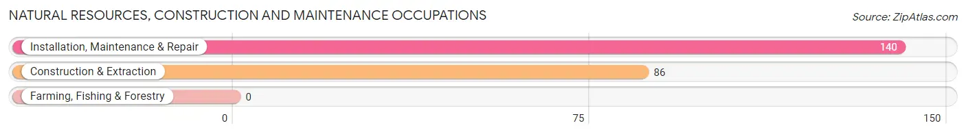 Natural Resources, Construction and Maintenance Occupations in Zip Code 90068