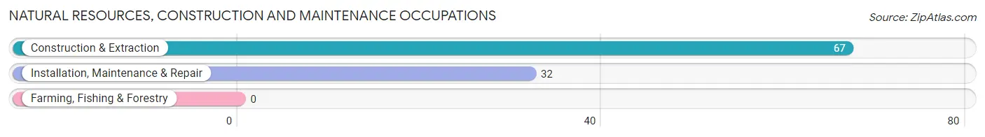 Natural Resources, Construction and Maintenance Occupations in Zip Code 90094