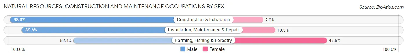 Natural Resources, Construction and Maintenance Occupations by Sex in Zip Code 90222