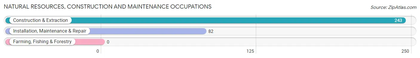 Natural Resources, Construction and Maintenance Occupations in Zip Code 90232