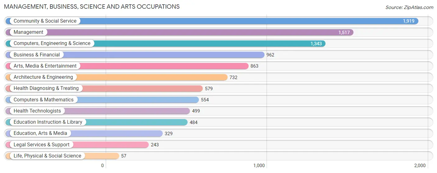 Management, Business, Science and Arts Occupations in Zip Code 90245