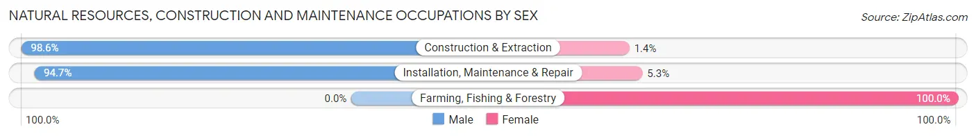 Natural Resources, Construction and Maintenance Occupations by Sex in Zip Code 90250