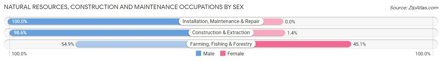 Natural Resources, Construction and Maintenance Occupations by Sex in Zip Code 90270