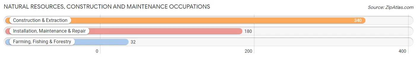 Natural Resources, Construction and Maintenance Occupations in Zip Code 90277