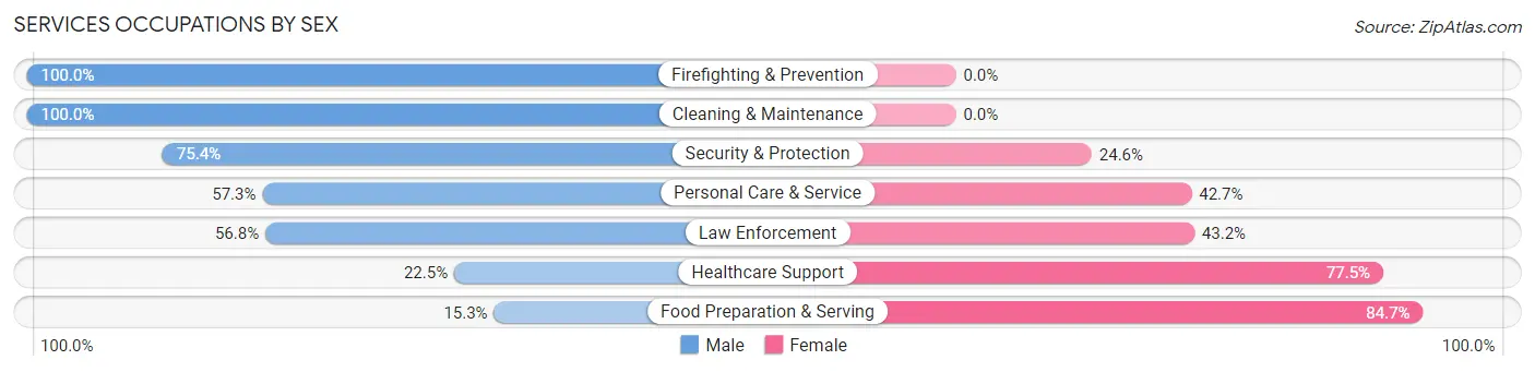 Services Occupations by Sex in Zip Code 90293