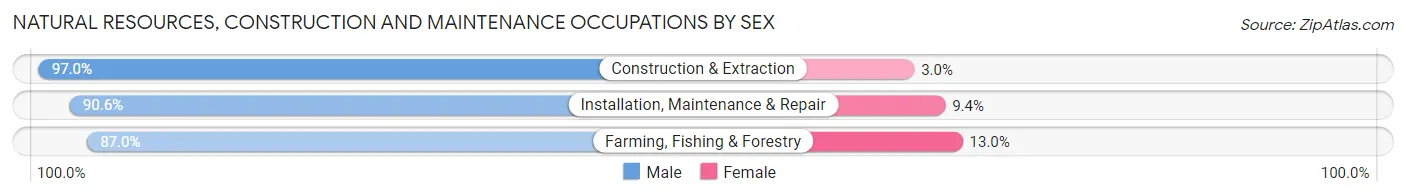 Natural Resources, Construction and Maintenance Occupations by Sex in Zip Code 90303