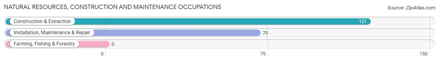 Natural Resources, Construction and Maintenance Occupations in Zip Code 90403