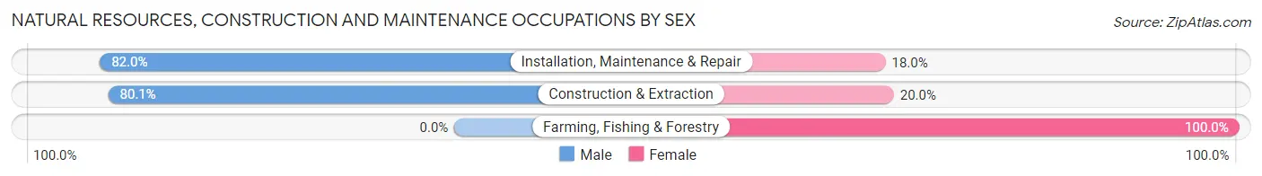 Natural Resources, Construction and Maintenance Occupations by Sex in Zip Code 90405
