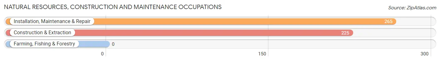 Natural Resources, Construction and Maintenance Occupations in Zip Code 90502