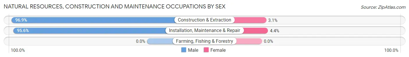 Natural Resources, Construction and Maintenance Occupations by Sex in Zip Code 90740