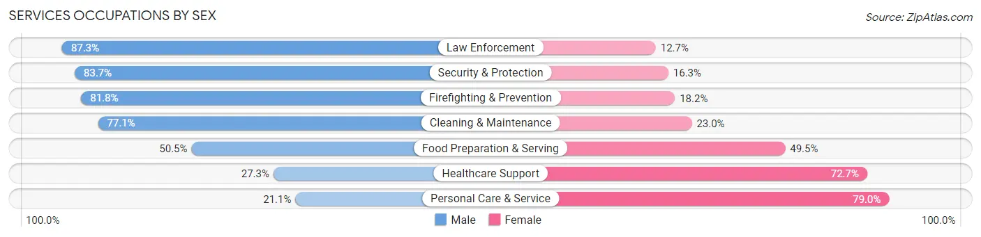 Services Occupations by Sex in Zip Code 90745