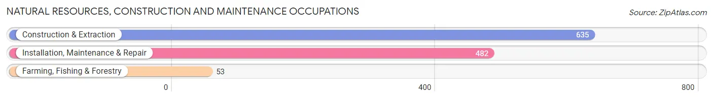 Natural Resources, Construction and Maintenance Occupations in Zip Code 91010