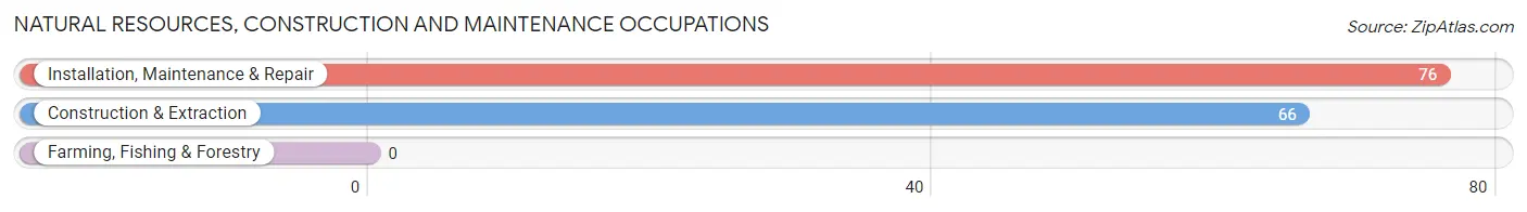 Natural Resources, Construction and Maintenance Occupations in Zip Code 91011