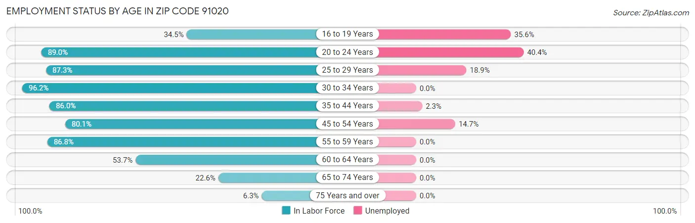 Employment Status by Age in Zip Code 91020