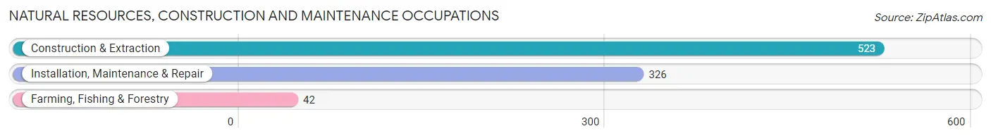 Natural Resources, Construction and Maintenance Occupations in Zip Code 91201