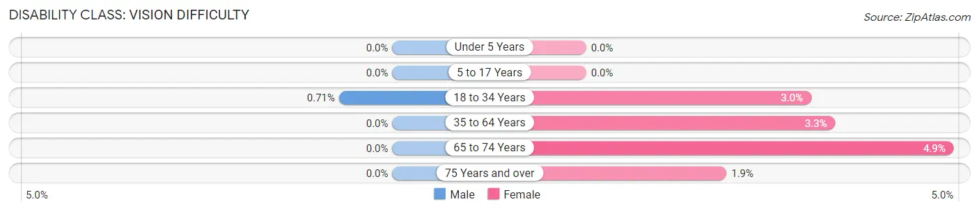 Disability in Zip Code 91203: <span>Vision Difficulty</span>