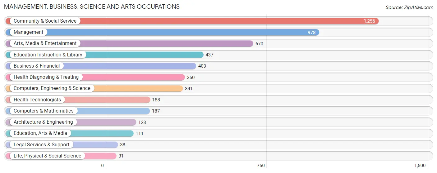 Management, Business, Science and Arts Occupations in Zip Code 91204