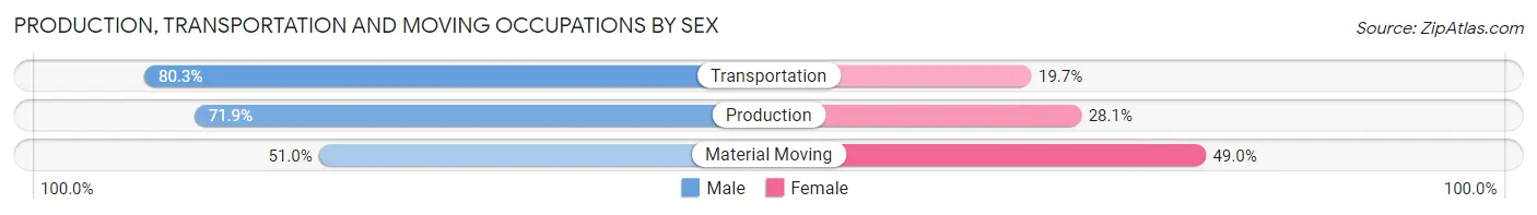 Production, Transportation and Moving Occupations by Sex in Zip Code 91307
