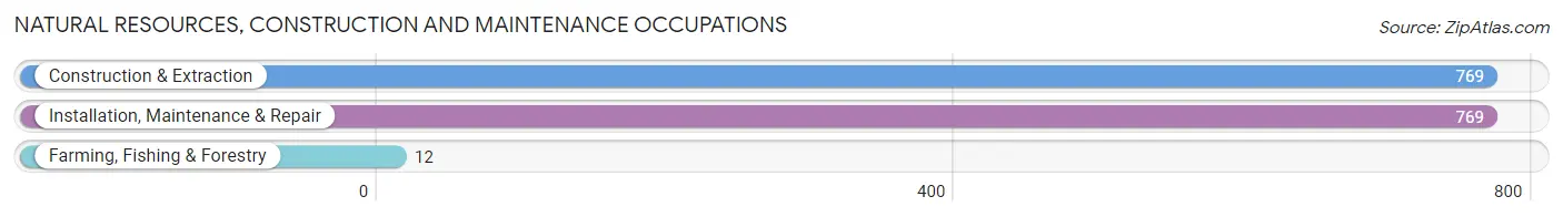 Natural Resources, Construction and Maintenance Occupations in Zip Code 91350