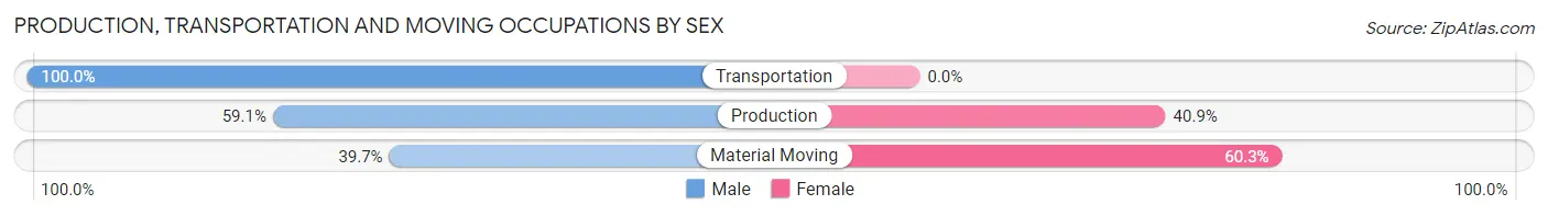 Production, Transportation and Moving Occupations by Sex in Zip Code 91377