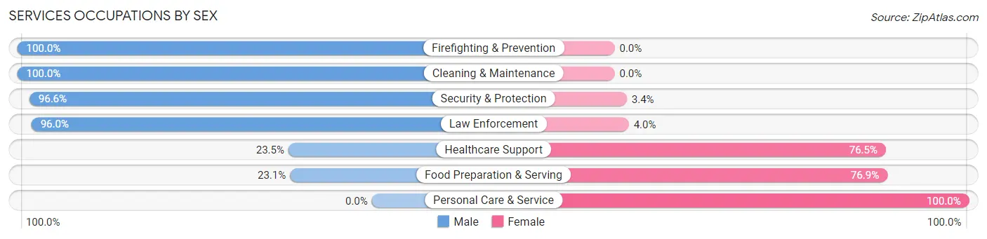Services Occupations by Sex in Zip Code 91381