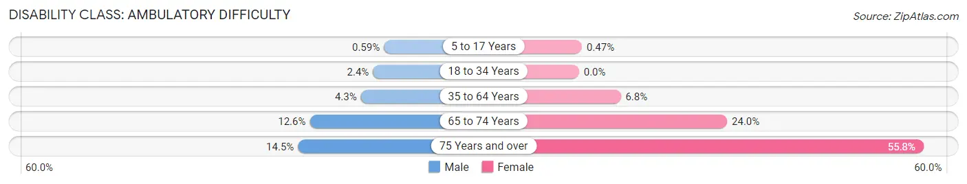 Disability in Zip Code 91384: <span>Ambulatory Difficulty</span>