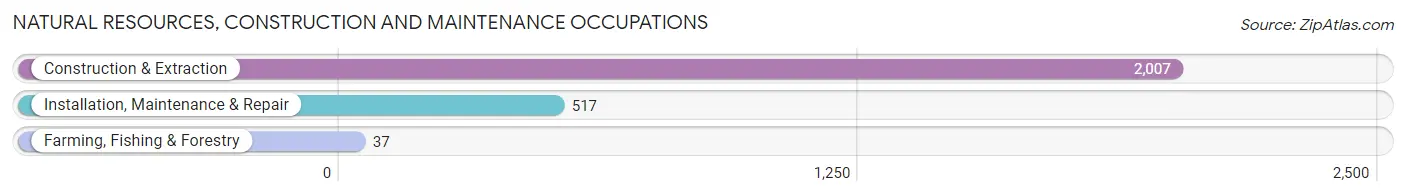 Natural Resources, Construction and Maintenance Occupations in Zip Code 91401