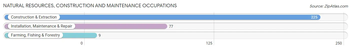 Natural Resources, Construction and Maintenance Occupations in Zip Code 91403