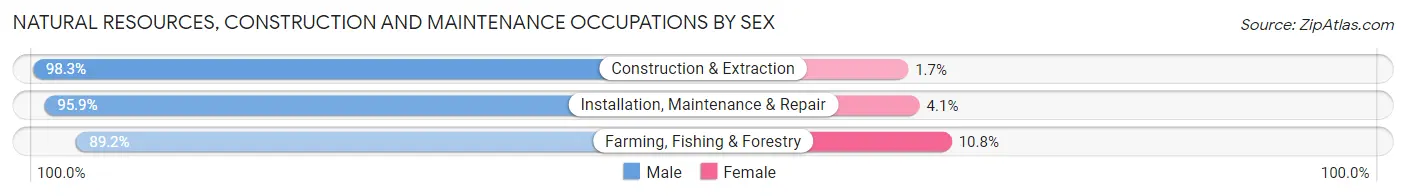 Natural Resources, Construction and Maintenance Occupations by Sex in Zip Code 91730