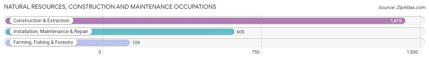 Natural Resources, Construction and Maintenance Occupations in Zip Code 91733