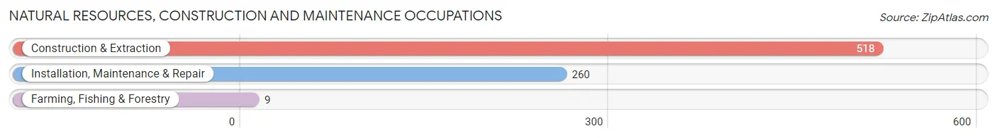 Natural Resources, Construction and Maintenance Occupations in Zip Code 91739