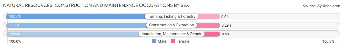 Natural Resources, Construction and Maintenance Occupations by Sex in Zip Code 91741