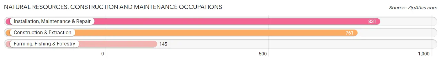 Natural Resources, Construction and Maintenance Occupations in Zip Code 91746