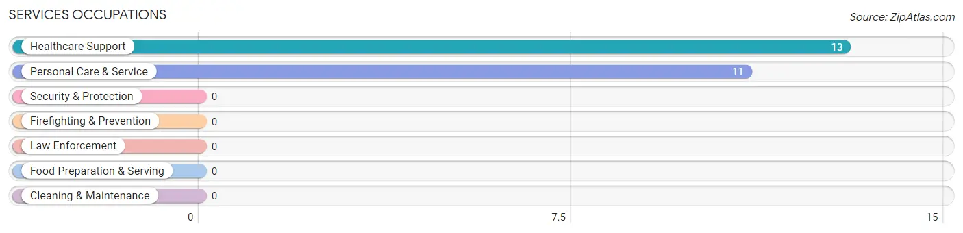 Services Occupations in Zip Code 91905